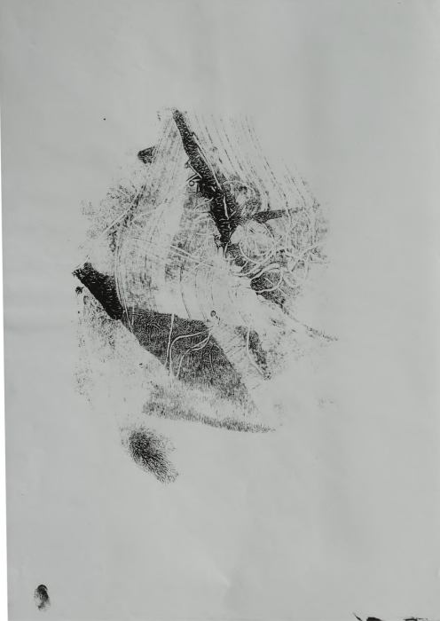 Olivia Fecchino, Sin Titulo, 42 x 29.5cm