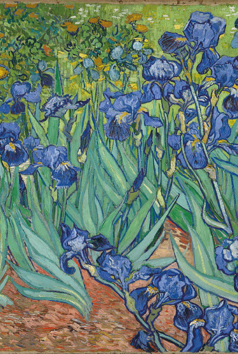 Vincent van Gogh, Lirios